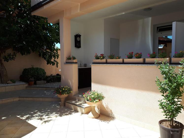 Apartments Rovis Tar-Vabriga Dış mekan fotoğraf